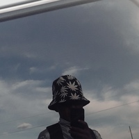 Данияр Хищников