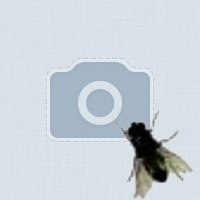 Ерасыл Мейрам