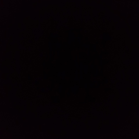 Никита Ступаченко